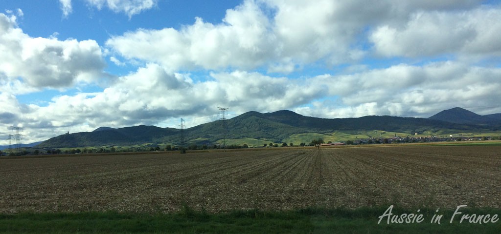 The slopes of the Vosges mountains