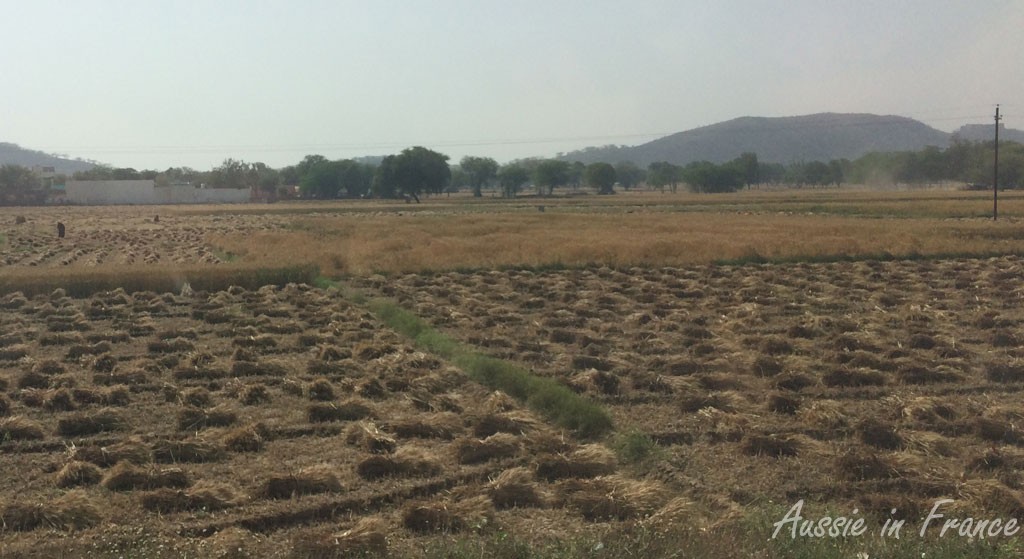 The somewhat desolate countryside btween Jaipur and Agra