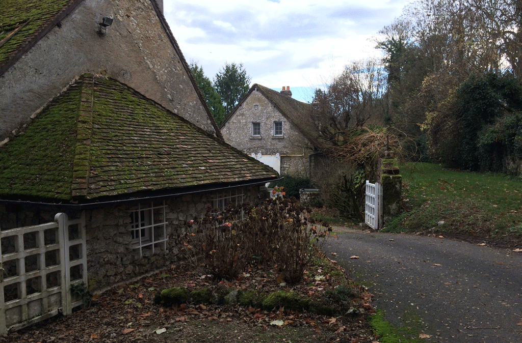 Moss has taken over may of the roofs as winter approaches