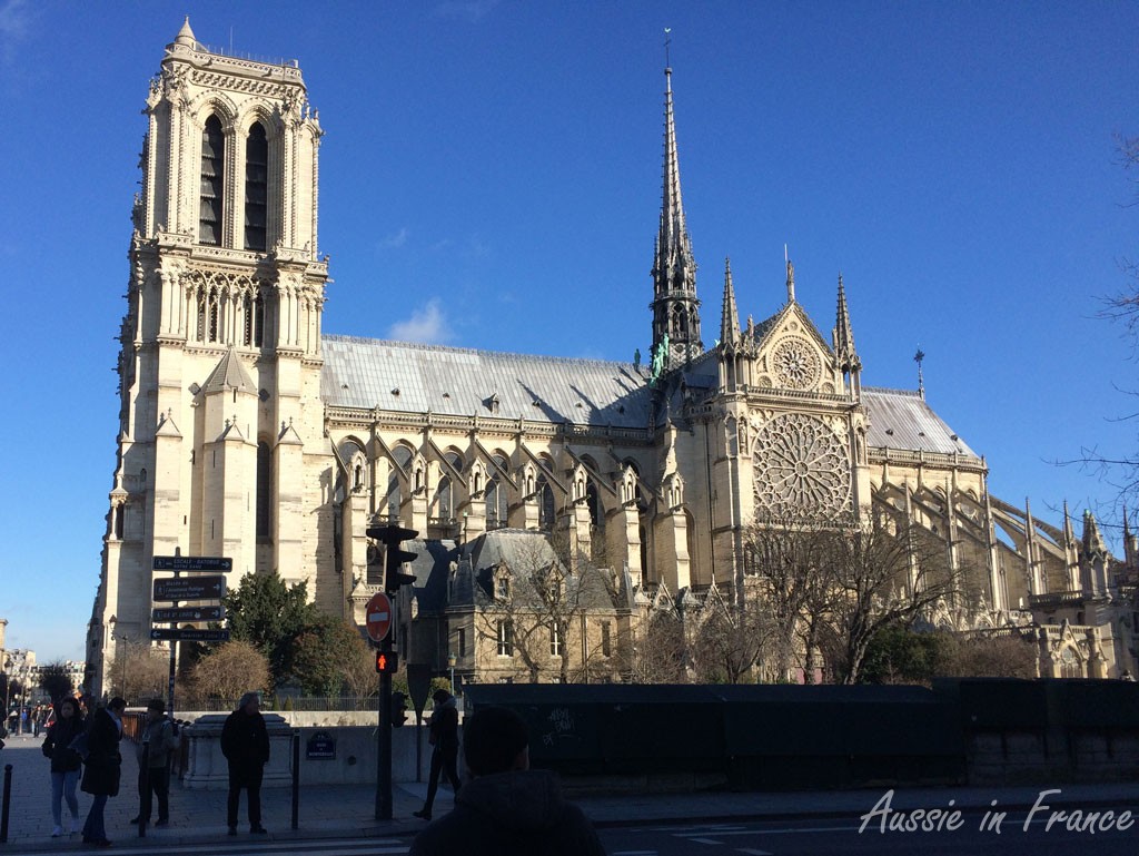 Driving past Notre Dame on our way to Au Vieux Campeur