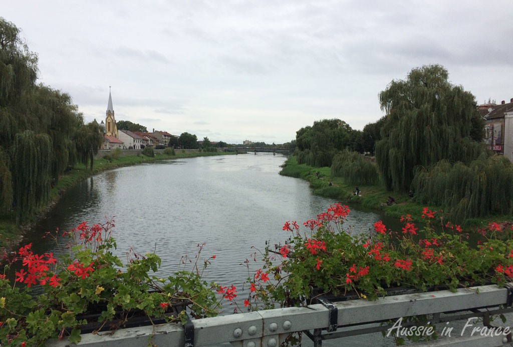 View from the river during our lunch stop in Lugoj