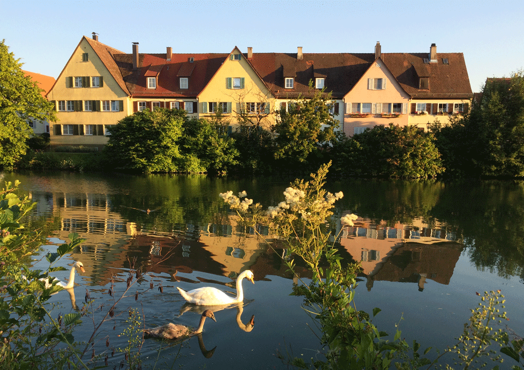 Along the Neckar in Rottenburg