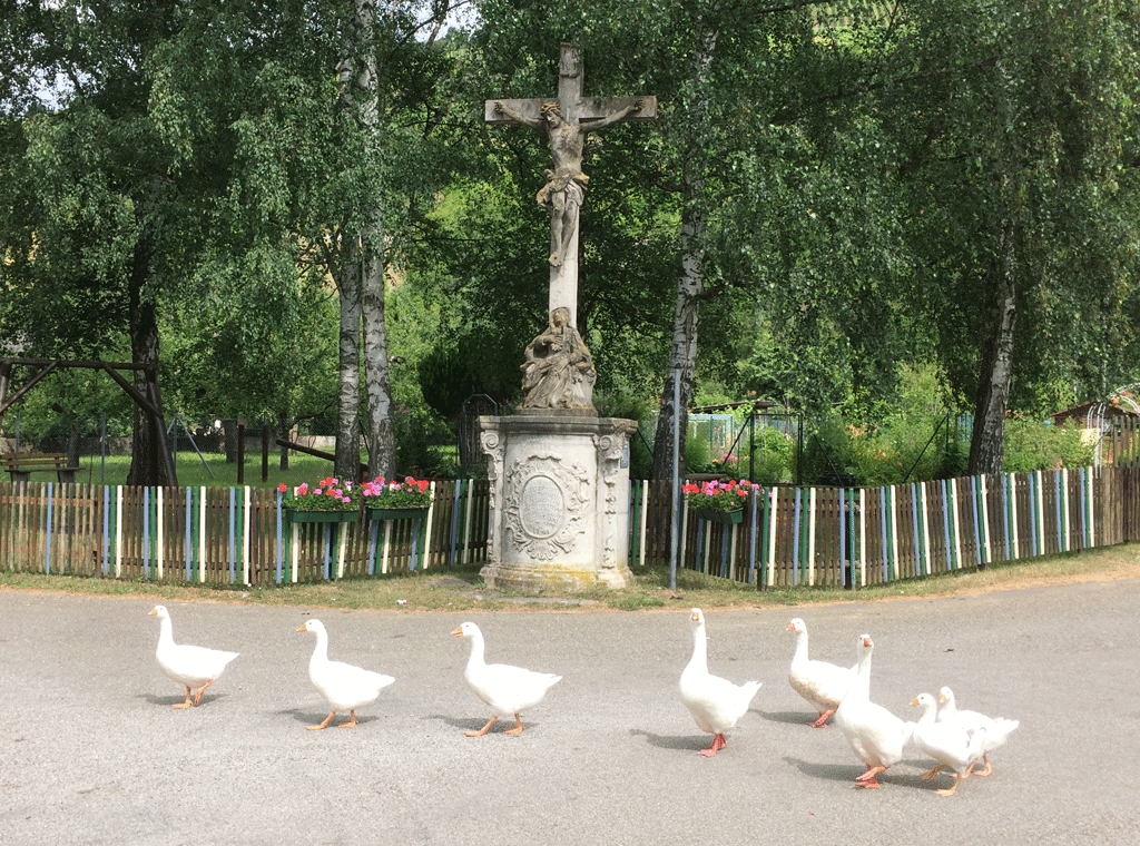 Geese grossing in front of the calvary on the other side of the bridge