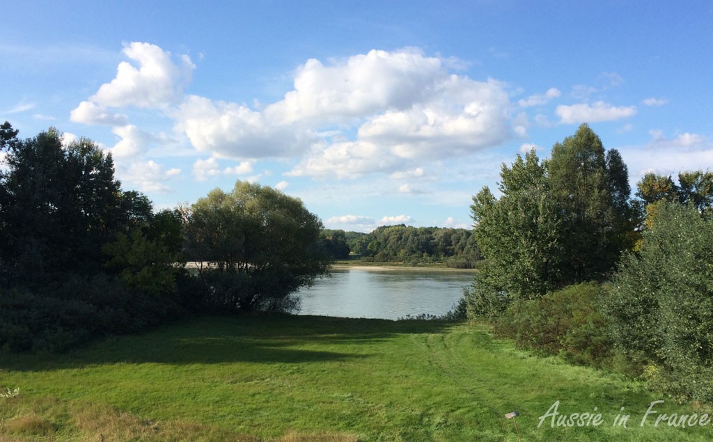 An occasional glimpse of the Danube