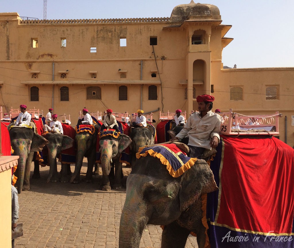 The elephants lined up to take their passengers up the hill to the Amber Fort