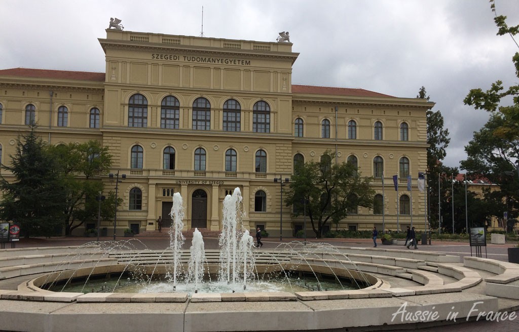 The university building