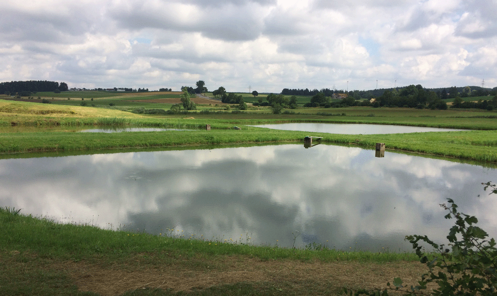 A former fish farm on the road out of Dinkels