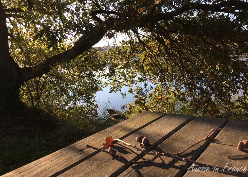 The picnic table with acorns and an old boat