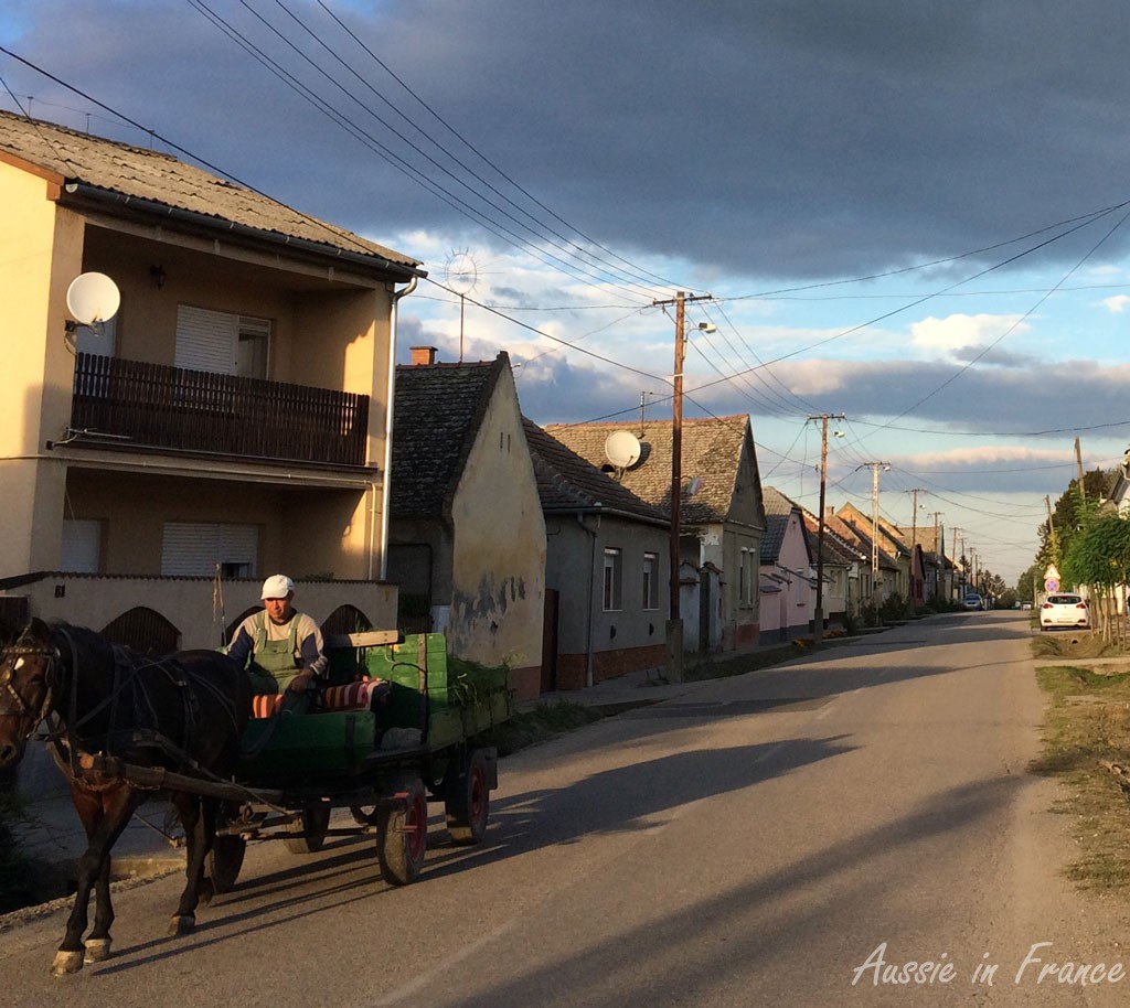 A horse and cart in the main road of Szemble