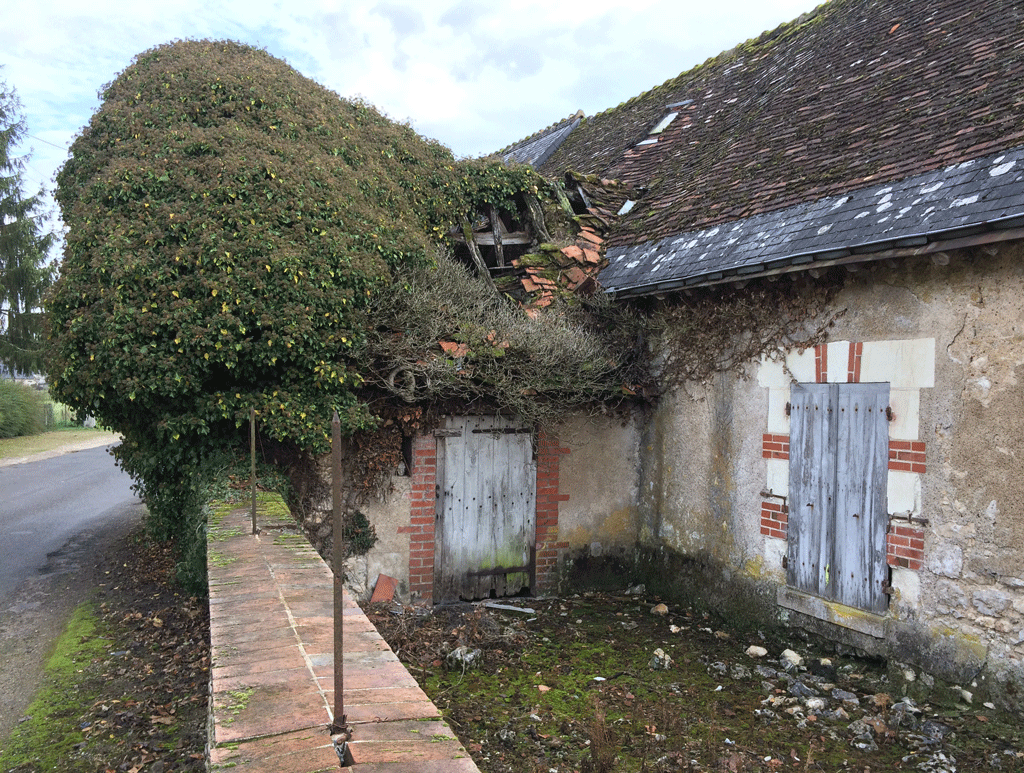 it's hard to know where the roofs stops and the vegetation begins