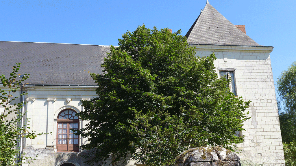 The somewhat disappointing Château de la Motte