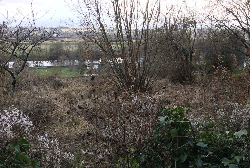 The Cher River from the walking track