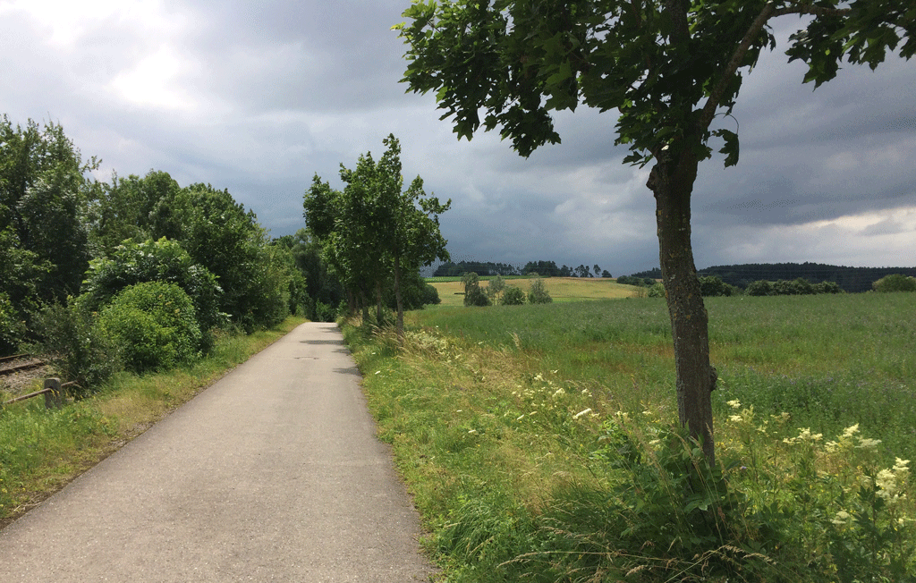 Riding home in the rain