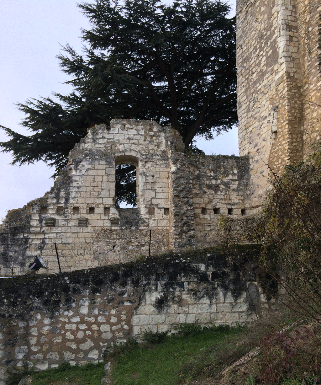 The ruins of Montrichard castle