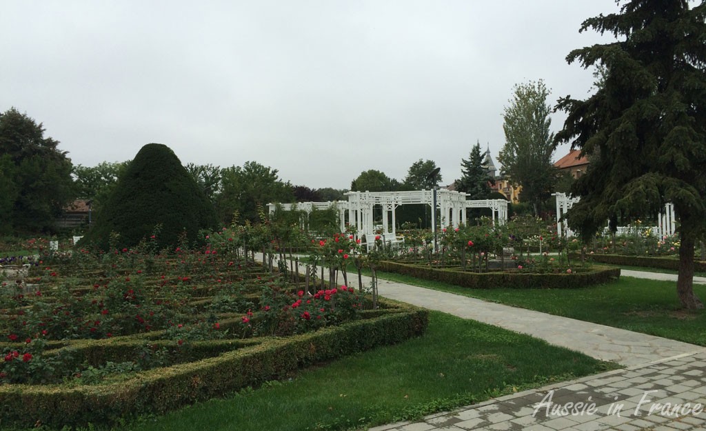 A rose garden along the canal
