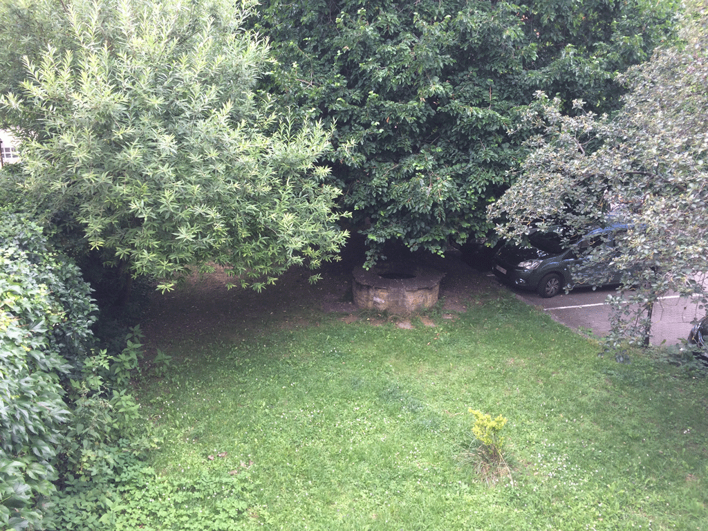 The "garden" view from our terrace. Nothing wonderful but it's better than being inside a room.