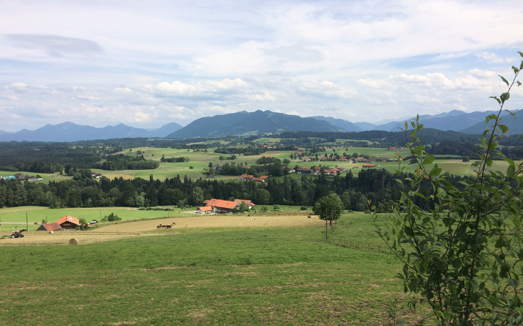 The view from the cheese factory