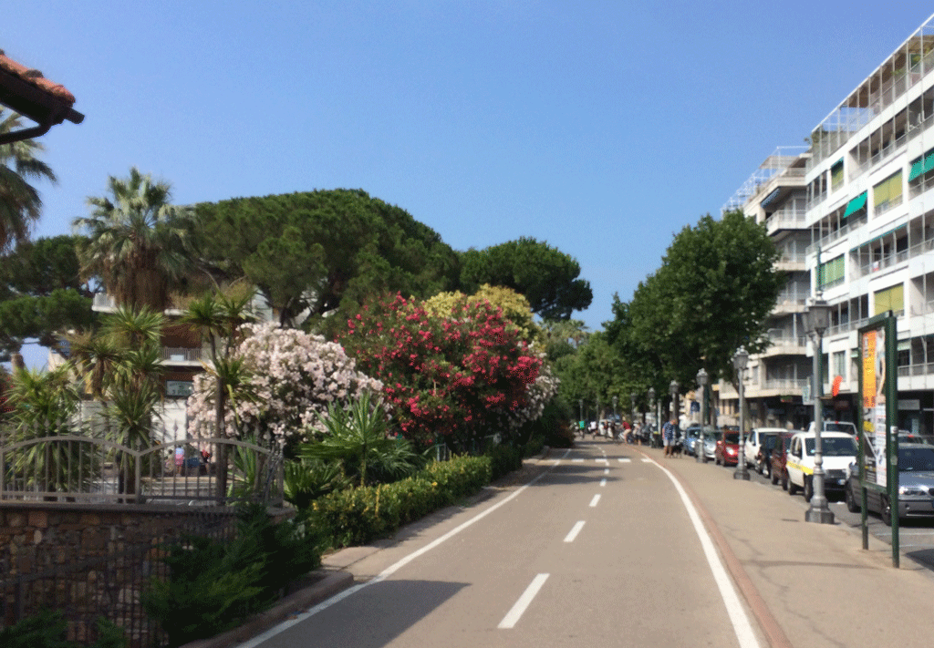 Our first view of the bike path