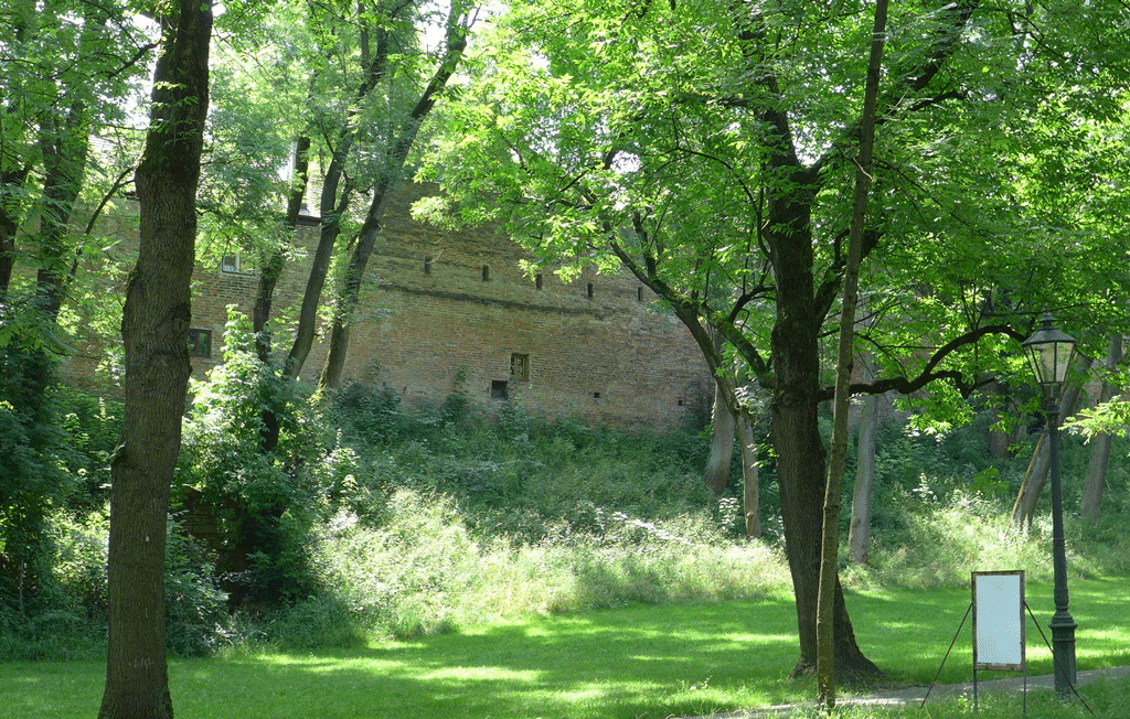 Part of the old town walls