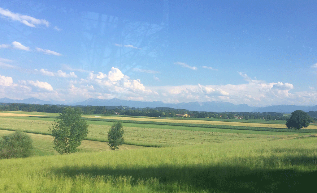 The scenery from the train on the way home