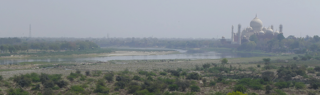 Washerwomen and buffalos along the river