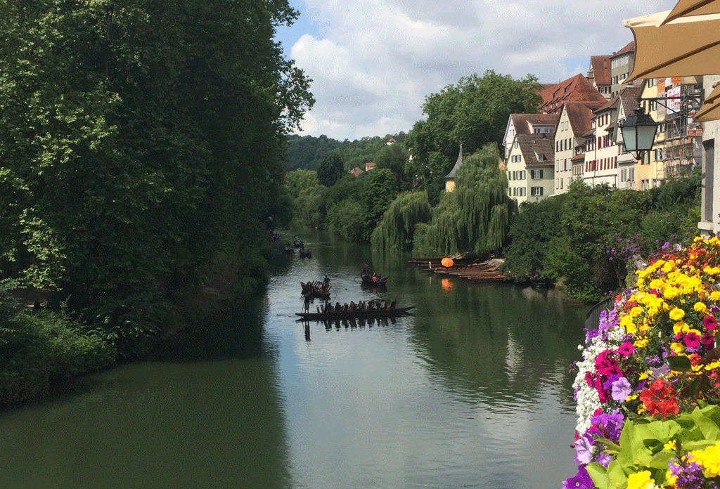 Punts on the Neckar