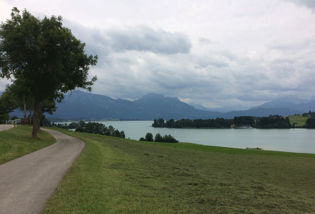 The cycle path along the Forggansee