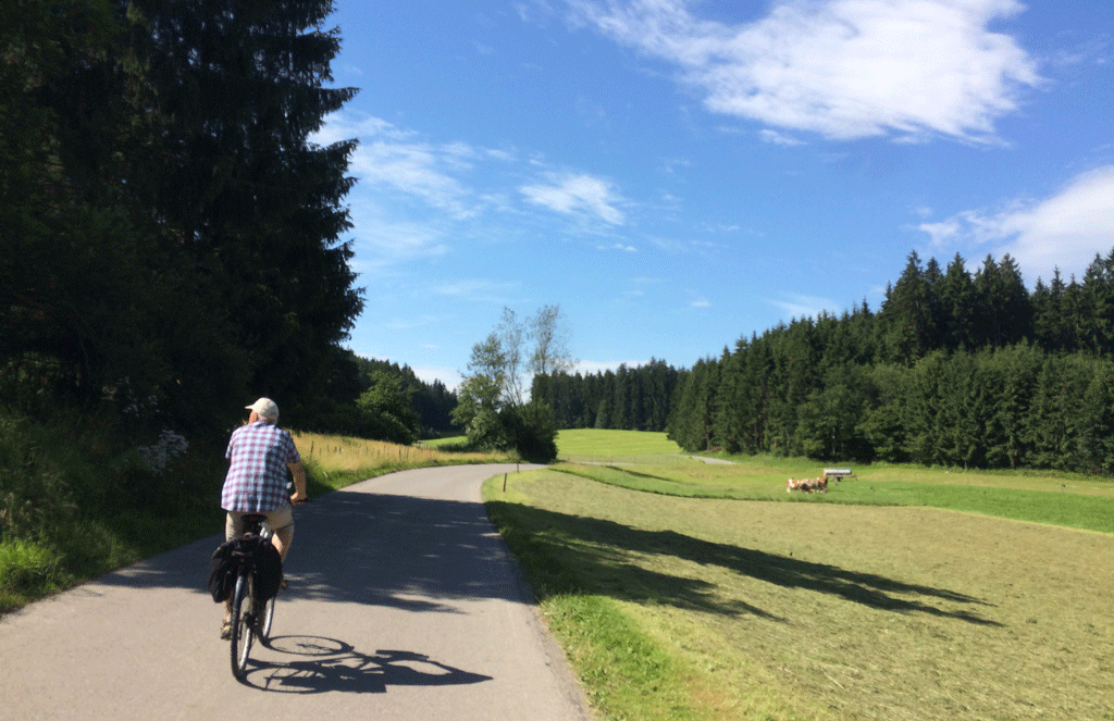 Typical bike path, often closed to vehicles