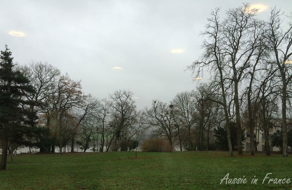 The view from the dining room - grey as usual