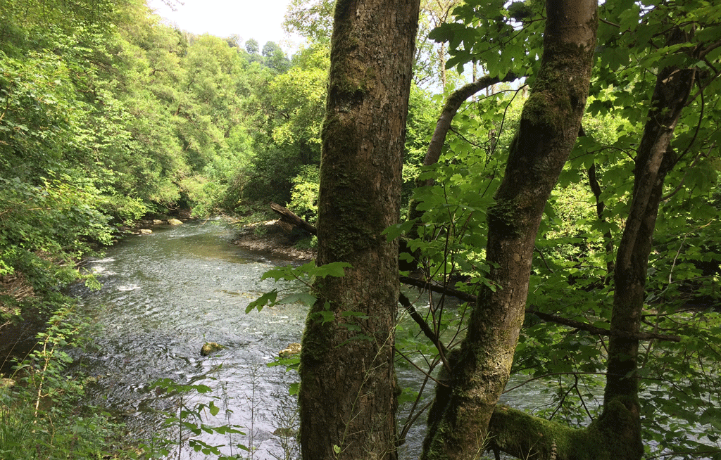 We follow the Neckar for some time