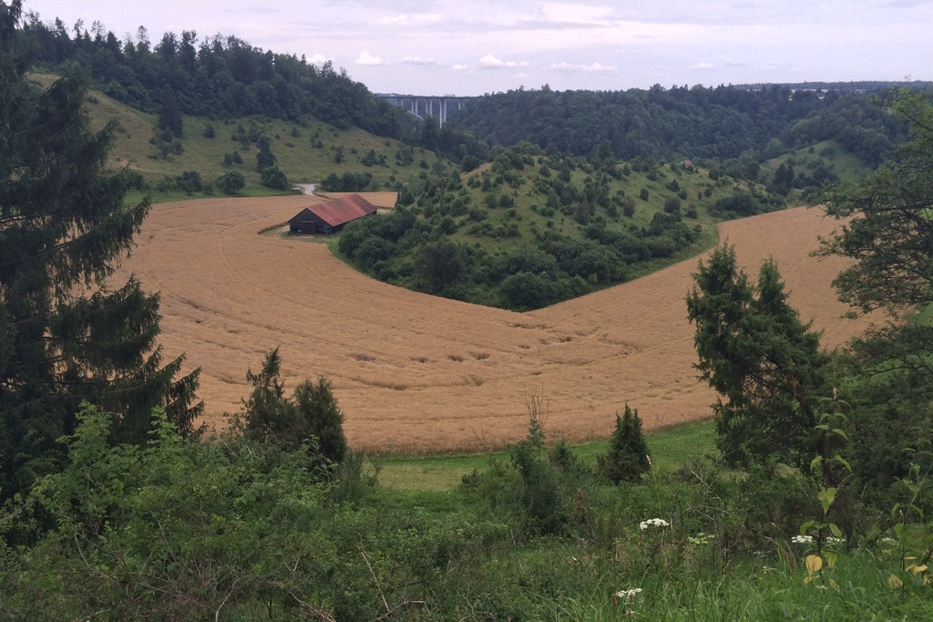 The view from the hill on the way down