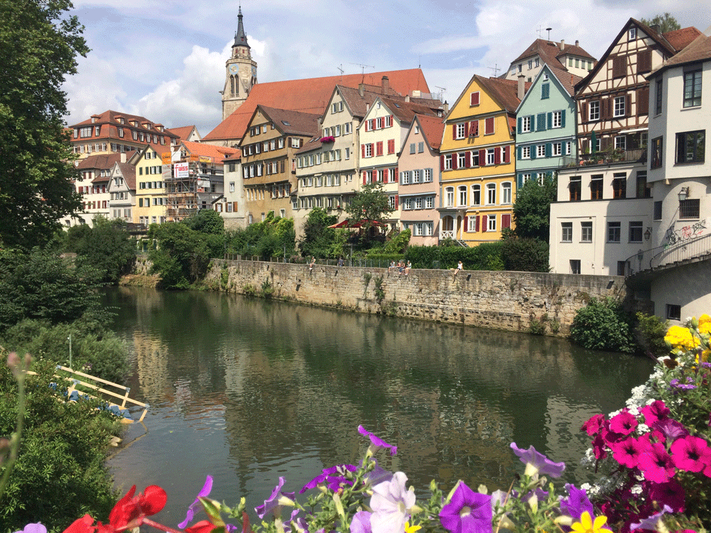 Houses along the Neckar in Tübingen