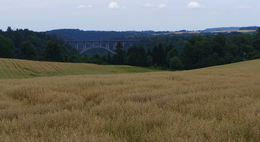 The motorway bridge in the distance as we climb the hill