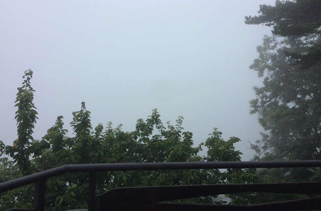 Misty view from the balcony on arrival