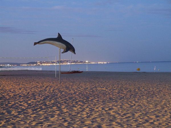 Cap d'Agde nudist beach (source: Wikipedia)