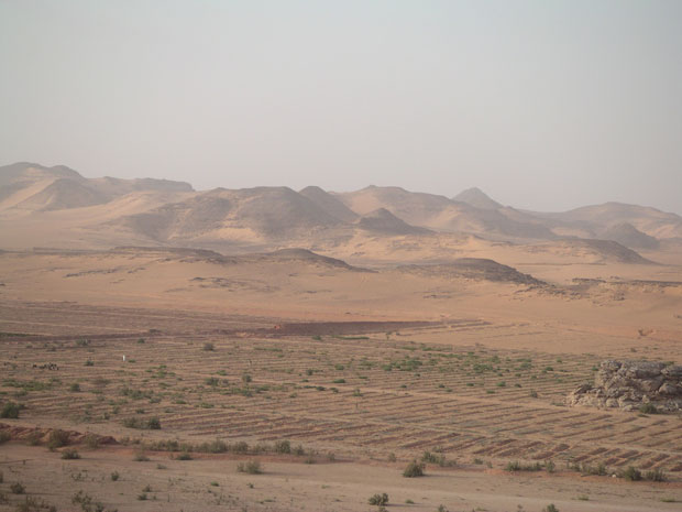 Cultures-Nasser-2