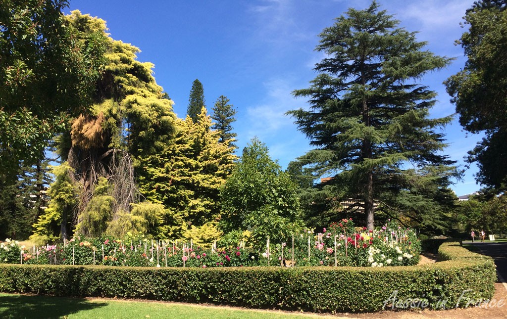 The amazing botanical gardens in Adelaide