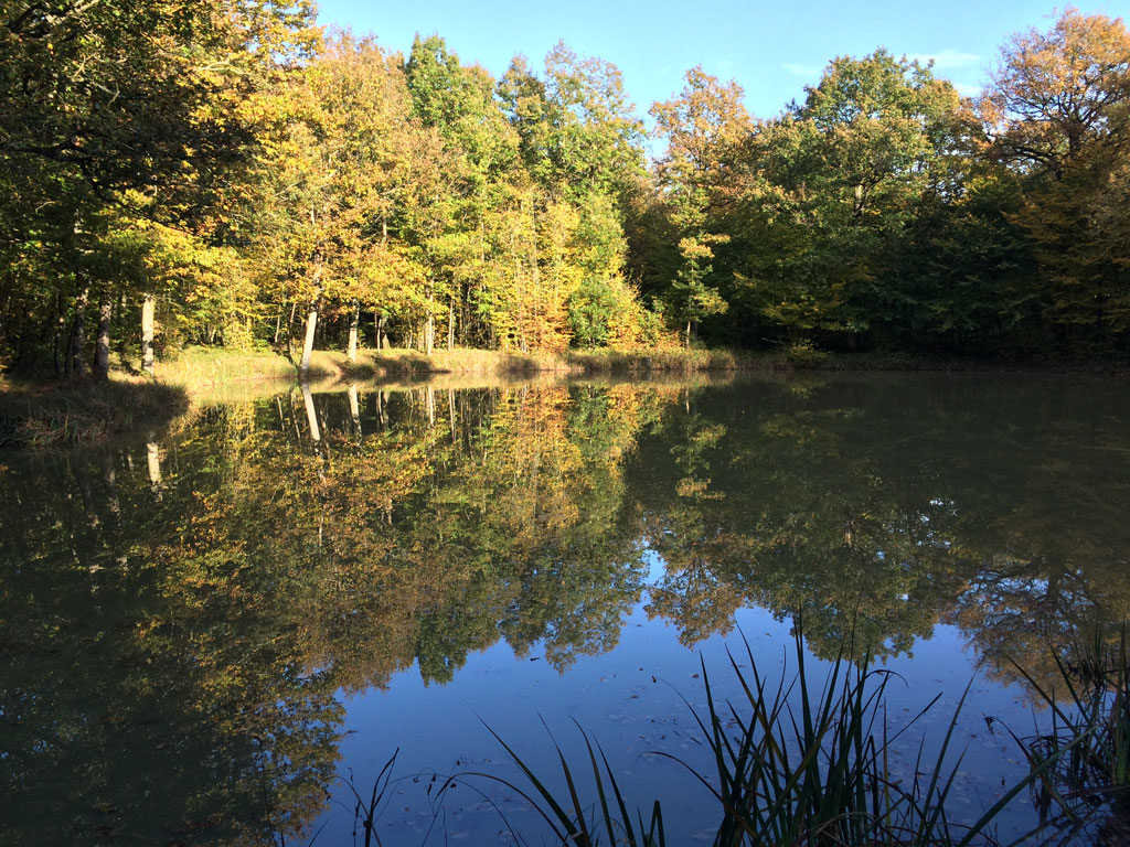 Autumn pond near Lancôme