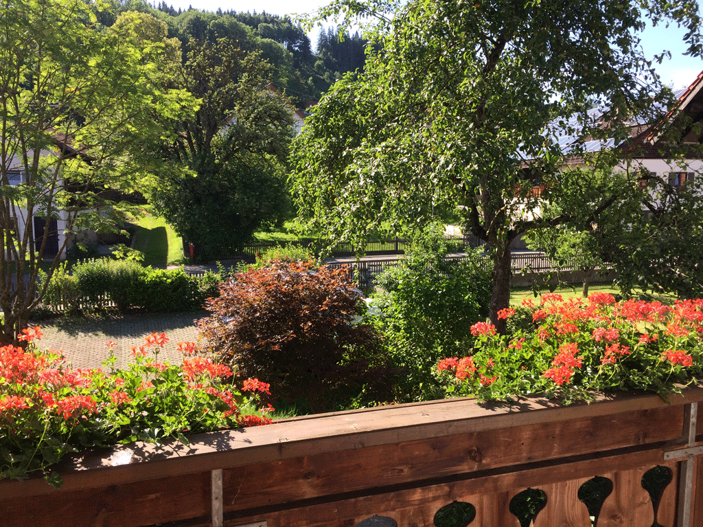 The view from one of our balconies in Peiting