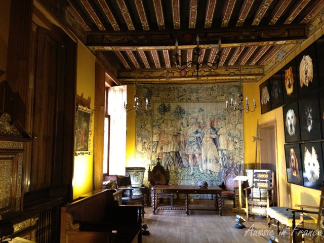 Secondary gallery with dog portraits