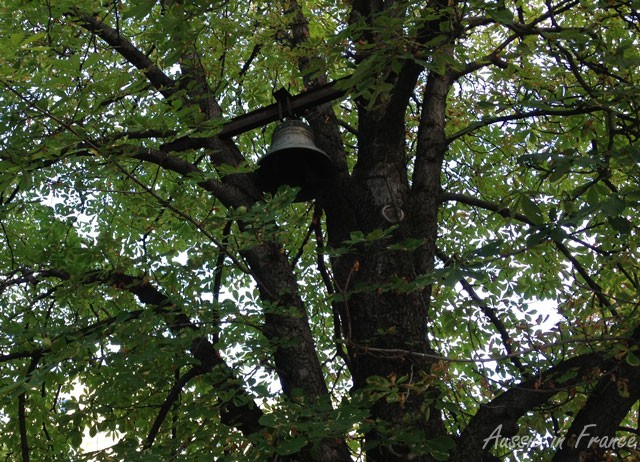 The tree bell