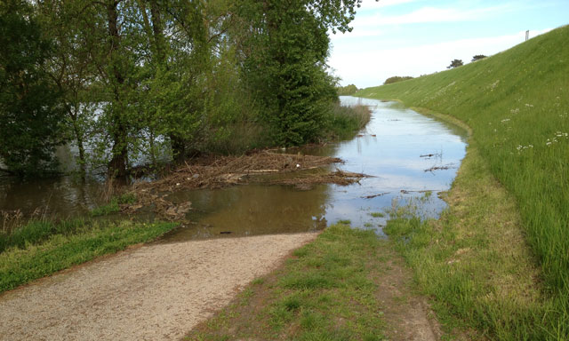 Water on the bike path along the Loire from Blois to Saint Dyé