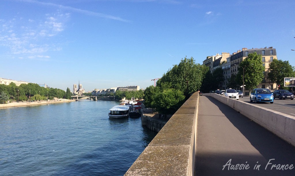 On the bike path! Great view of Notre Dame though
