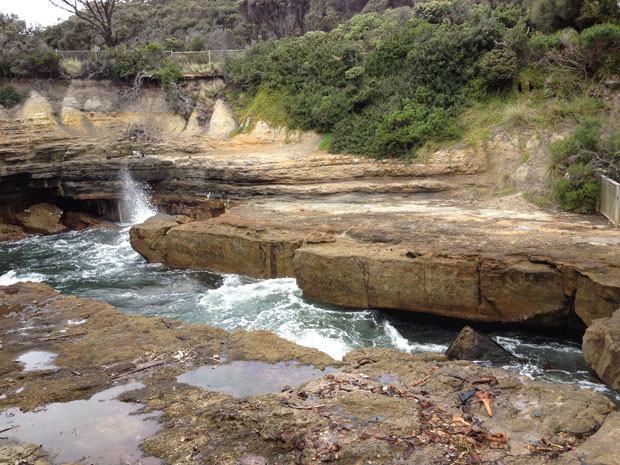 blowhole