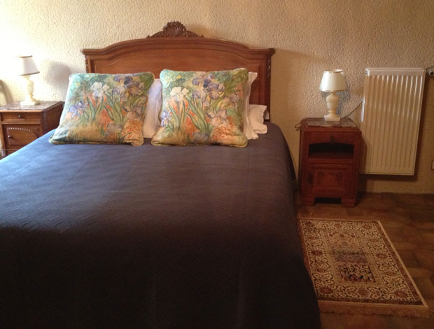 carpet_insitu