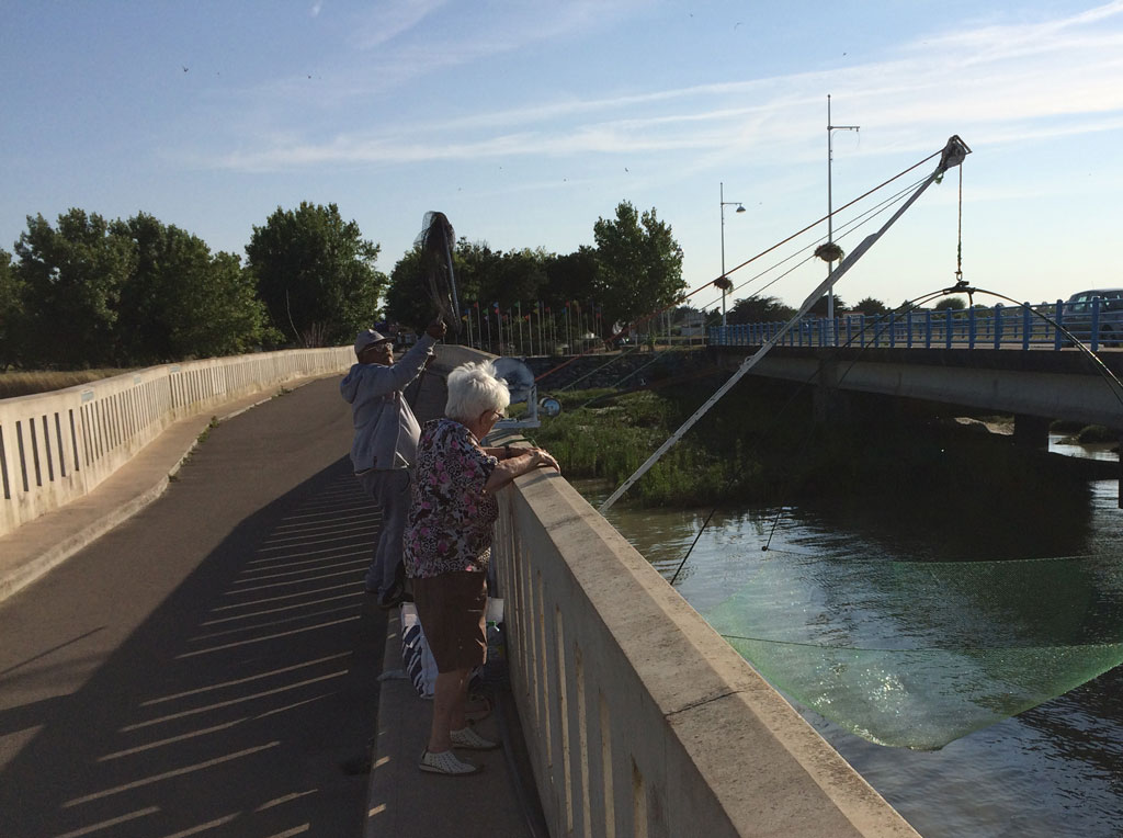Fishing with square nets on the bridge