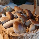 cepes_2009_cropped
