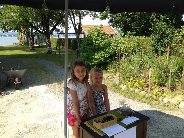 Two little Swiss girls selling cherries in front of their house - with Mum sunbathing in the background!