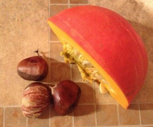 chestnuts_pumpkin