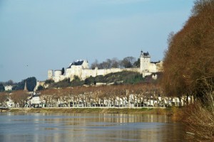 chinon